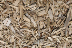 biomass boilers Ingoe